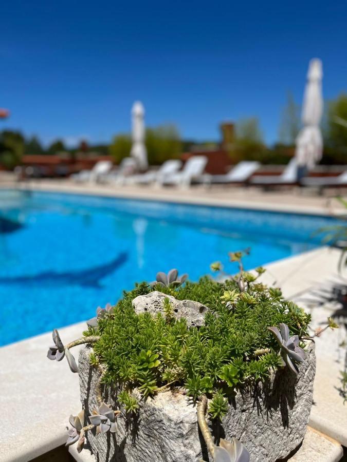 Apartment With Swimming Pool Jelsa  Dış mekan fotoğraf